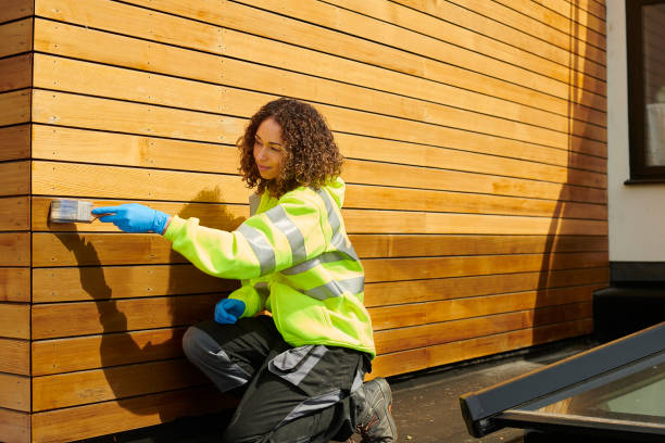 Affordable Siding Repair and Maintenance Services in Highland, IN